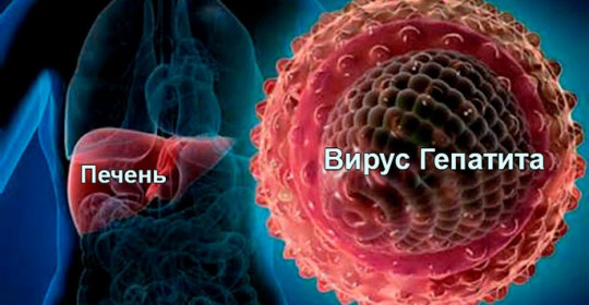 Профилактика вирусного гепатита